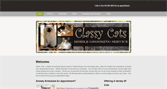 Desktop Screenshot of classycatsgrooming.com